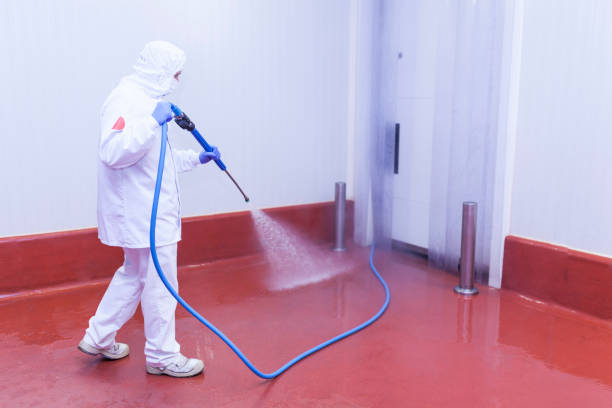 Best Dumpster Area Cleaning  in Stansberry Lake, WA